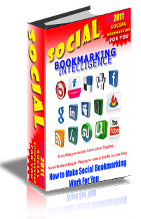 Social Bookmarking Intelligence cover