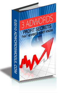 3 Adwords Profit Secrets that Newbies Don't Know cover