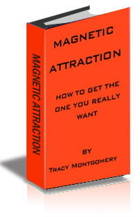 Magnetic Attraction - How to Get the One You Really Want cover