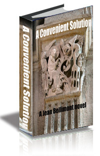 A Convenient Solution cover