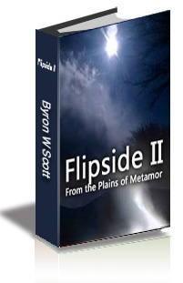 Flipside II: From the Plains of Metamor cover