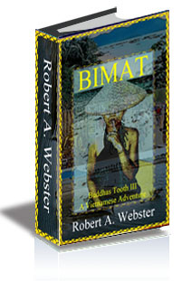 BIMAT cover