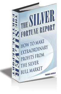The Silver Fortune Report - How to Profit from The Biggest Wealth Transfer in History cover
