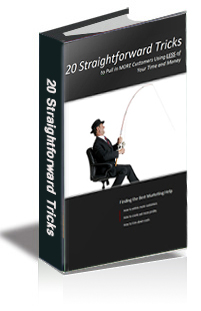 20 Straightforward Tricks to Pull in More Customers Using less of Your Time and Mone cover