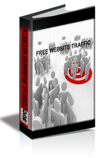 Your Guide To Free Website Traffic! cover