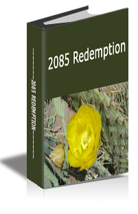 2085 Redemption cover