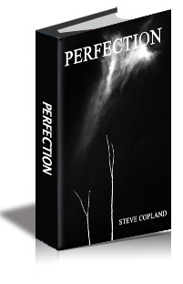 Perfection cover
