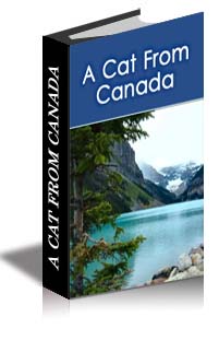 A Cat From Canada cover