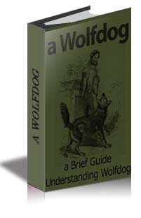 A Wolfdog cover