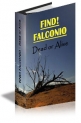 FIND! FALCONIO - Dead or Alive Cover