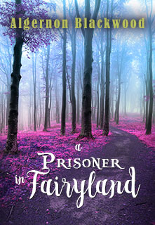 A Prisoner in Fairyland