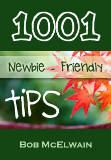 1001 Newbie - Friendly Tips