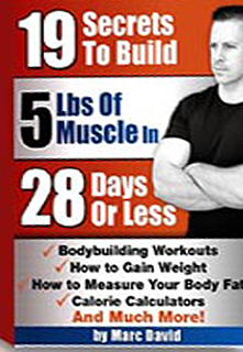 19 Secrets to Build Huge Muscles