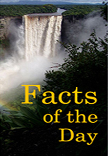 Interesting Facts