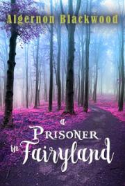 A Prisoner in Fairyland