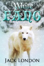 White Fang