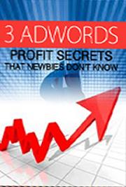 3 Adwords Profit Secrets that Newbies Don't Know