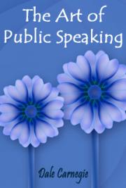 The everything public speaking book pdf free download pdf