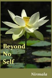Beyond No Self