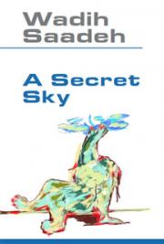 A Secret Sky