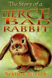 The Story of a Fierce Bad Rabbit