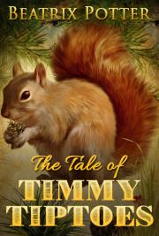 The Tale of Timmy Tiptoes