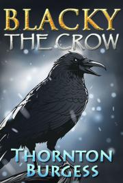Blacky the crow (1922)
