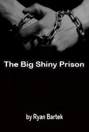 The Big Shiny Prison