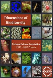 Dimensions of Biodiversity