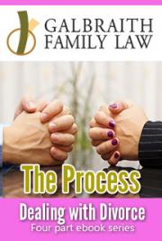 Dealing with Divorce 4 Part EBook Series: The Process (Part 1)