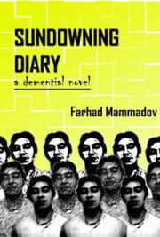 Sundowning Diary- Part 4