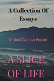 A Slice of Life: a collection of essays