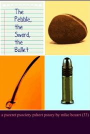 The Pebble, the Sword, the Bullet