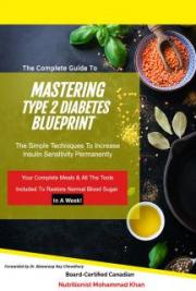 The Complete Guide To Master Type 2 Diabetes Blueprint