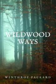 Wildwood Ways