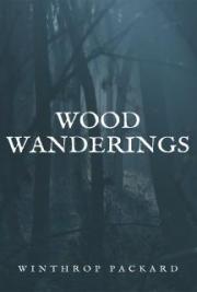 Wood Wanderings