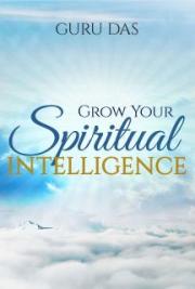 Grow Your Spiritual Intelligence