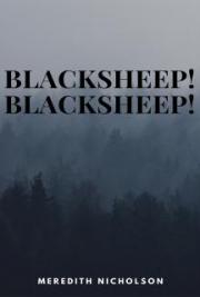 Blacksheep! Blacksheep!