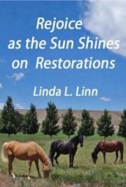 Rejoice as the Sun Shines on Restorations