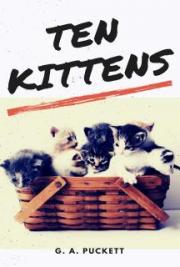 Ten Kittens