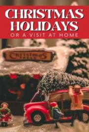 Christmas Holidays or a Visit at Home