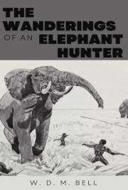 The Wanderings of an Elephant Hunter