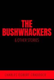 The Bushwhackers & Other Stories