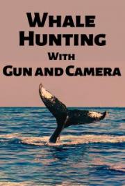 Whale Hunting With Gun and Camera