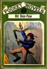 Old Bear-Paw