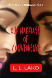 Our Marriage of Convenience: Volume One