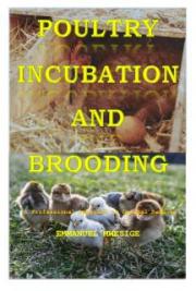 POULTRY INCUBATION AND BROODING