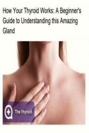 How Your Thyroid Works: A Beginner's Guide to Understanding this Amazing Gland