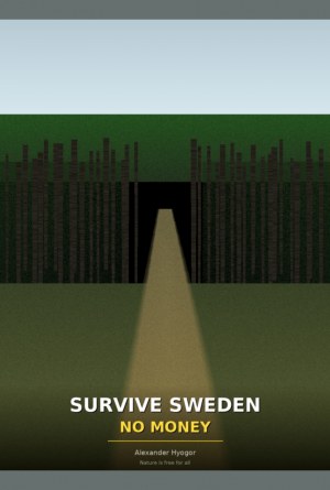 Survive Sweden No Money