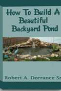 How to Build a Beautiful Backyard Pond